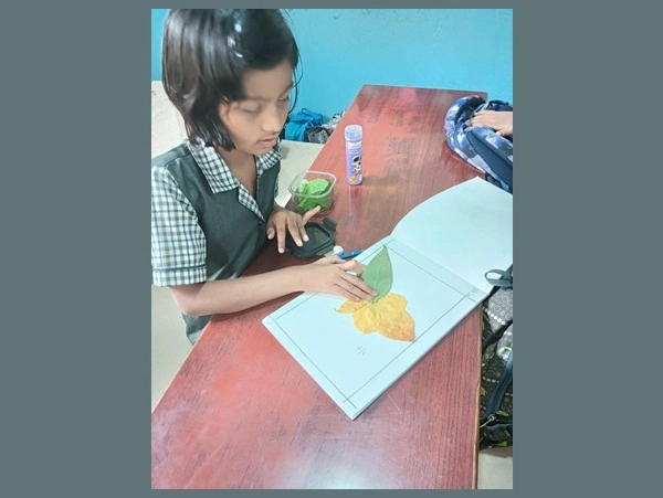 Traffic Awareness Program 